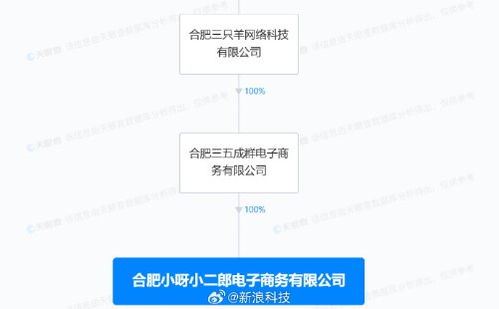 疯狂小杨哥新公司成立 经营范围包含互联网销售等